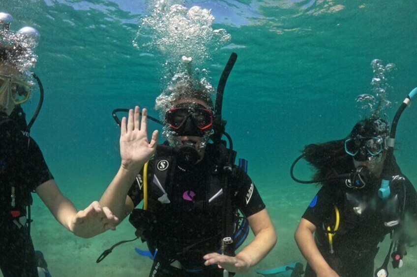 Padi scuba diver course