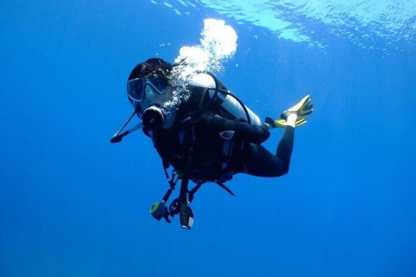 Padi scuba diver course