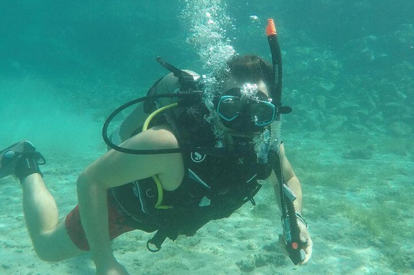 Try scuba dive 