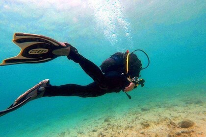 Try scuba dive