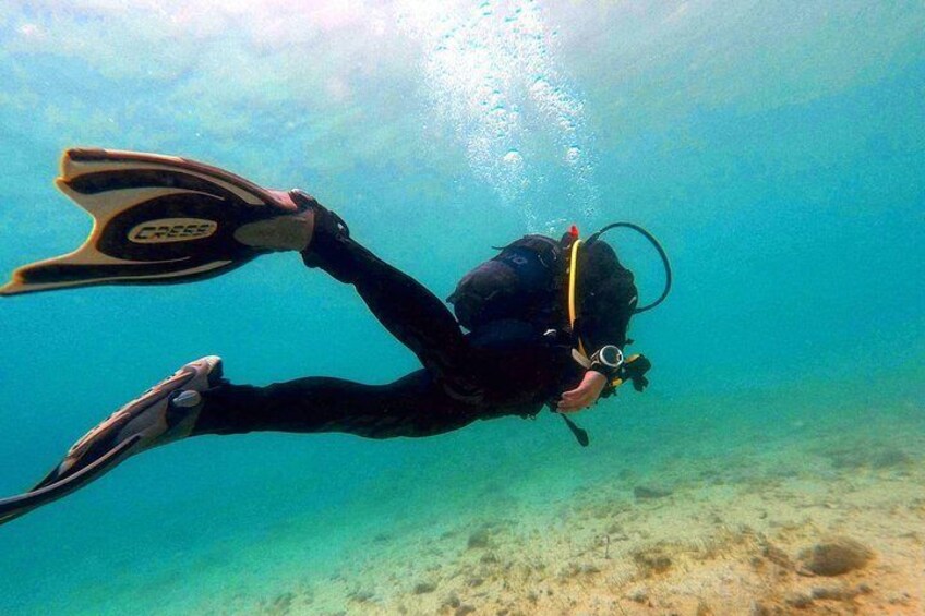 Try scuba dive 