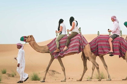 Desert Safari Dubai With Camel Ride