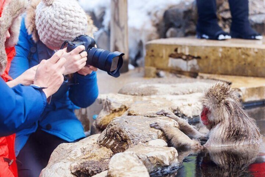 Local Private Tour to Jigokudani Snow Monkey Park