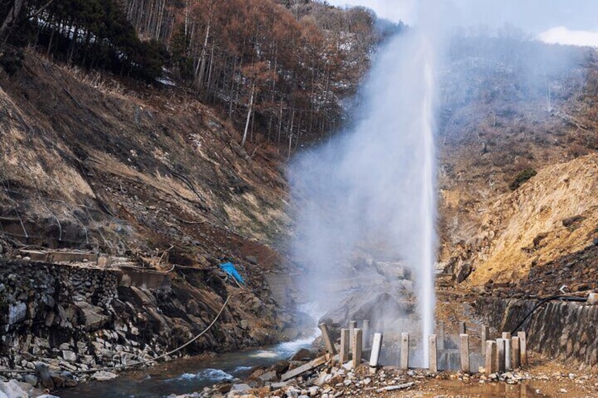 Local Private Tour to Jigokudani Snow Monkey Park