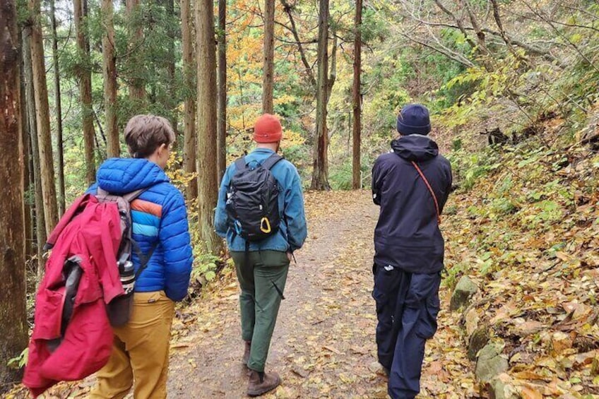 Local Private Tour to Jigokudani Snow Monkey Park