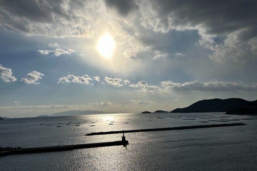 The stunning view from the hilltops of Murotsu, where you can see oyster rafts.