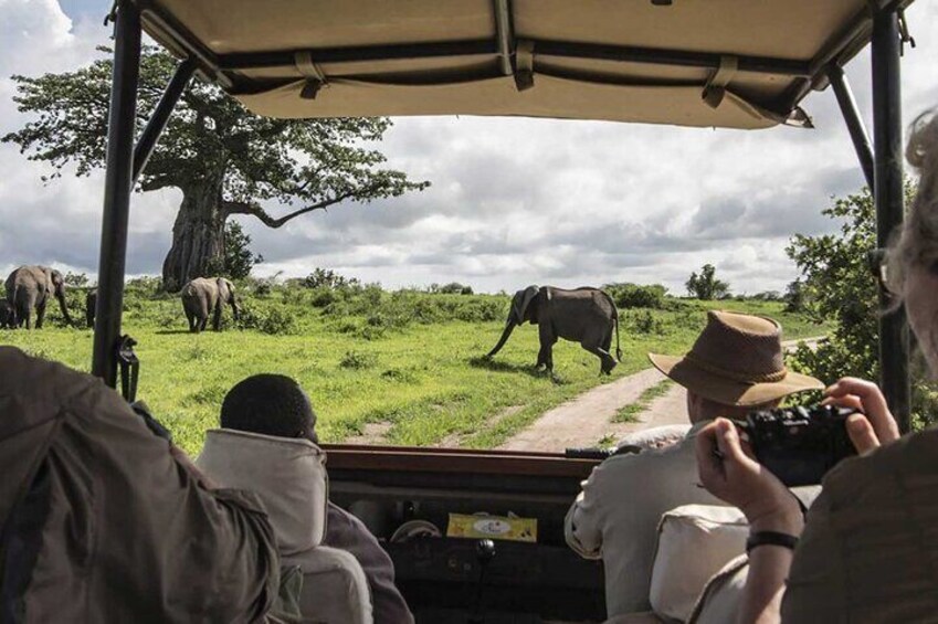 9 Days Kenya Classic Lodge Safari