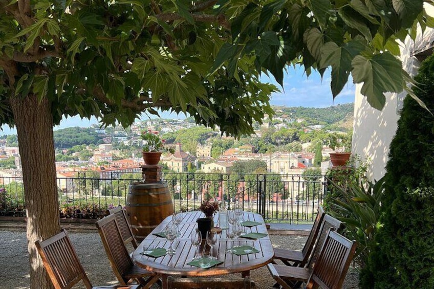 From Barcelona: Wine Tasting & Explore Marimurtra Garden & Blanes