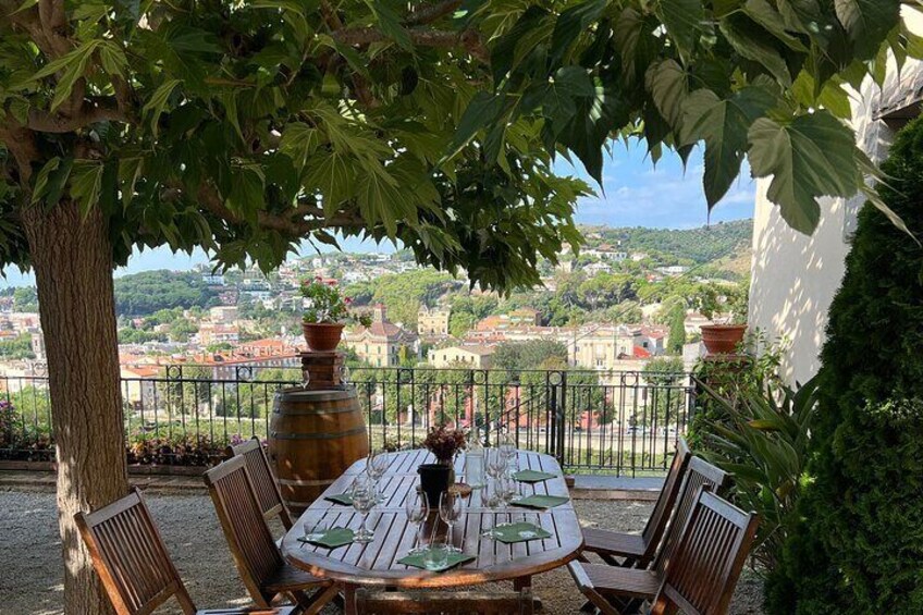 From Barcelona: Wine Tasting & Explore Marimurtra Garden & Blanes