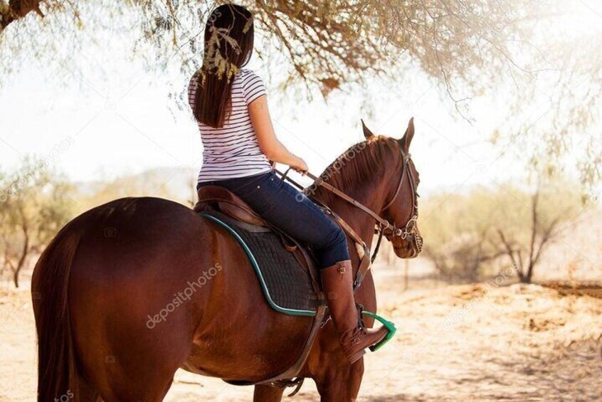 HORSERIDING PUNTA CANA
Playa Macao 23000, Punta Cana
Enyoy the panoramic airspace in Macao Beach, get a different experience and you will can visite the river..