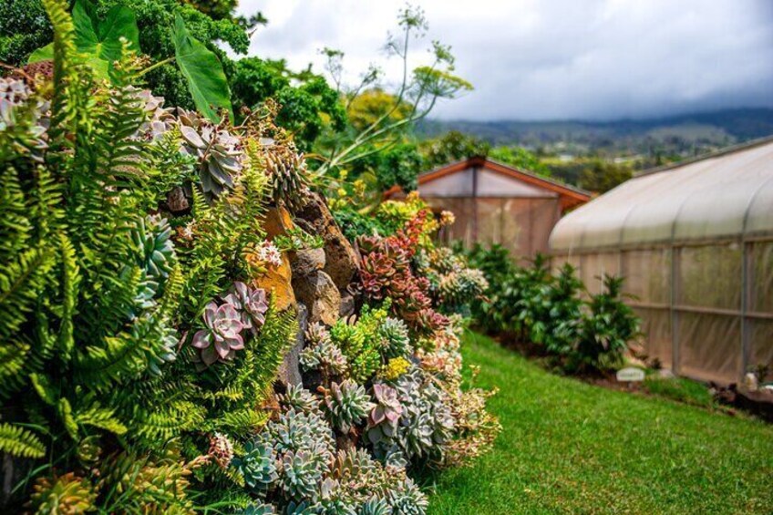 Pueo Farm Tour in Upcountry Kula Maui Hawaii