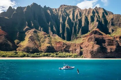 5-timmars Na Pali Coast Raft & Snorkel Adventure, garanti för delfinobserva...