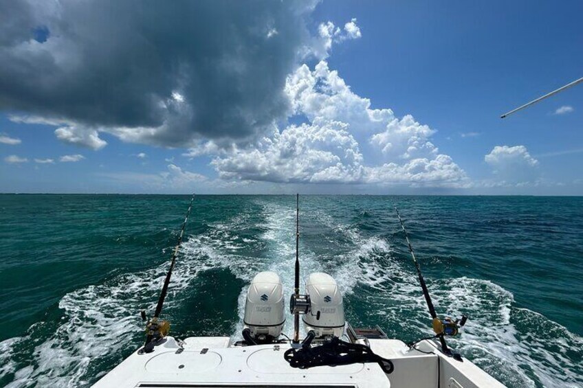 Private Charter Reef fishing, Stingray City, Snorkel, Mangroves