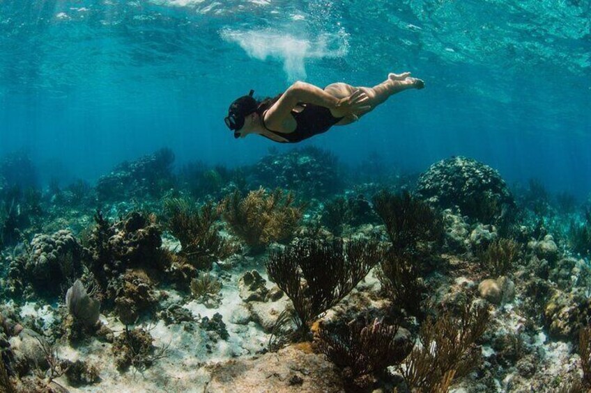 Private Boat Charter Reef fishing, Stingray City, Snorkeling