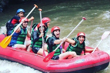 Rafting en Ubud Bali con almuerzo y tour adicional opcional