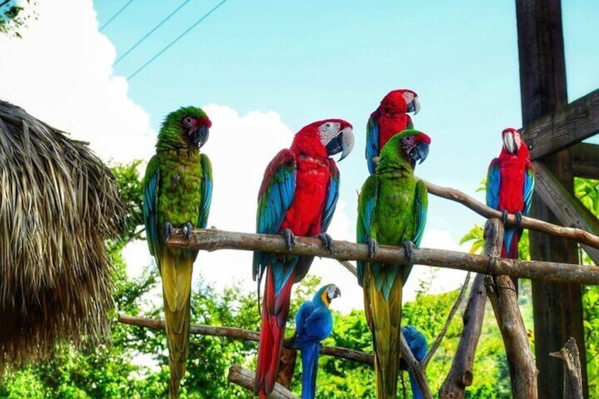 La Hacienda Park Tour