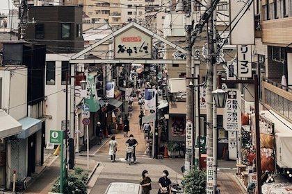 4 Hours Private Yanaka Town Tour