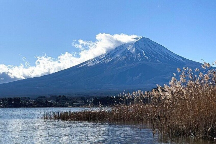 Mt. Fuji and Gotemba Outlet Private Day Trip from Tokyo