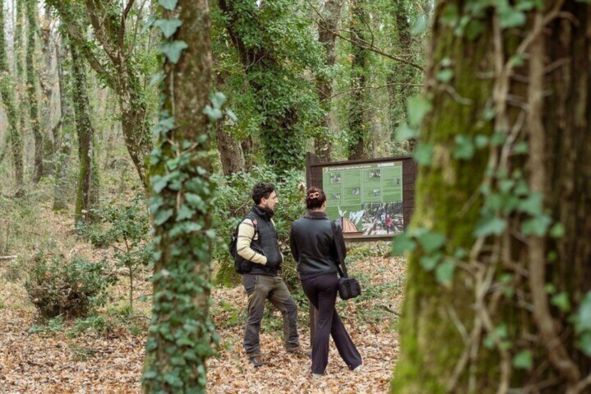 The Lamone Jungle: between brigands and coalmen