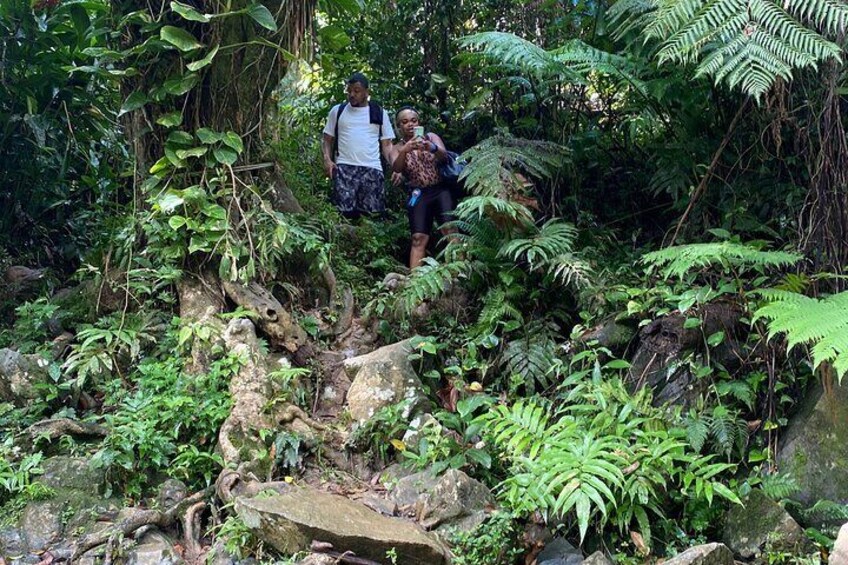 Adventurous Water Fall Experience in Ceiba Puerto Rico with Guide