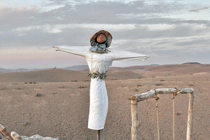Marrakech: Agafay Desert Tour with camel, quad & Dinner Show