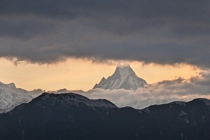 7 Days Mardi Himal Trek 