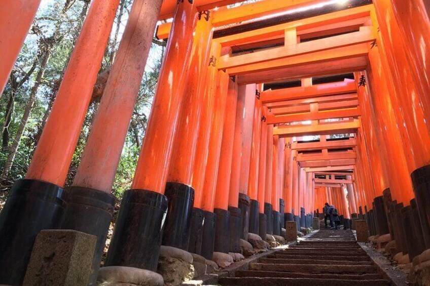 Fushimi Inari Shrine