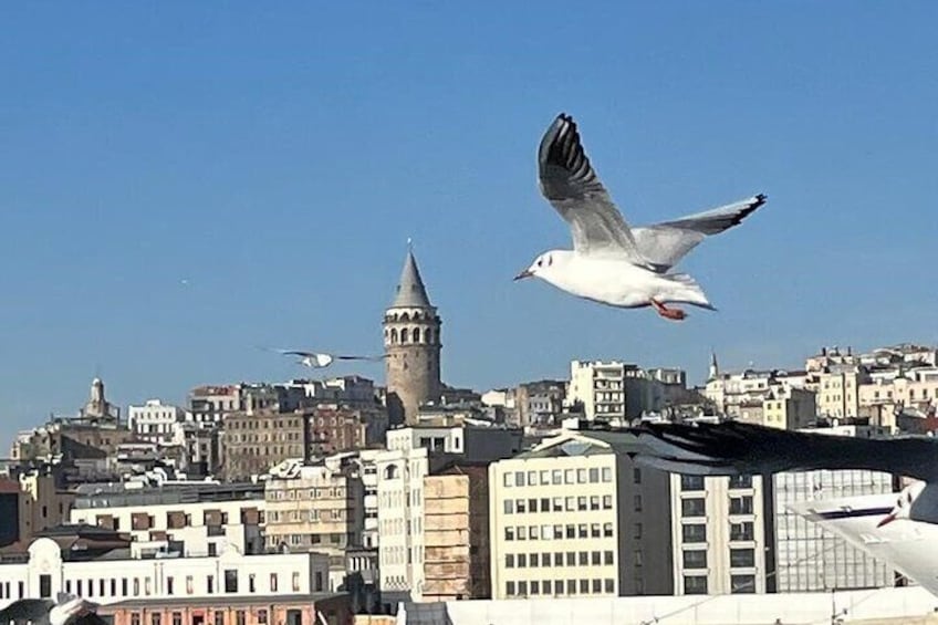 Galata Tower