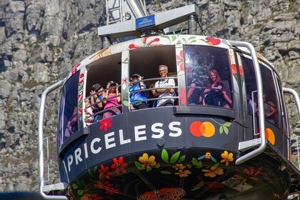 Montaña de la Mesa, Pico Chapmans, Pingüinos y Cata de Vinos