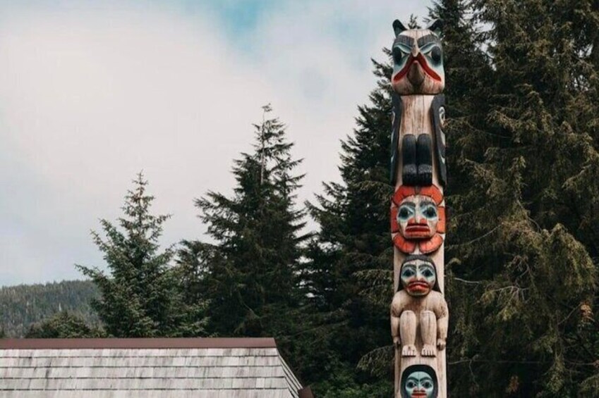 Alaska Wildlife Safari and Sightseeing Tour