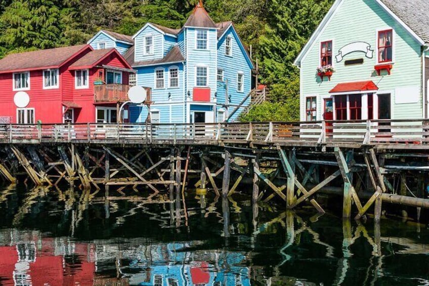 Alaska Wildlife Safari and Sightseeing Tour