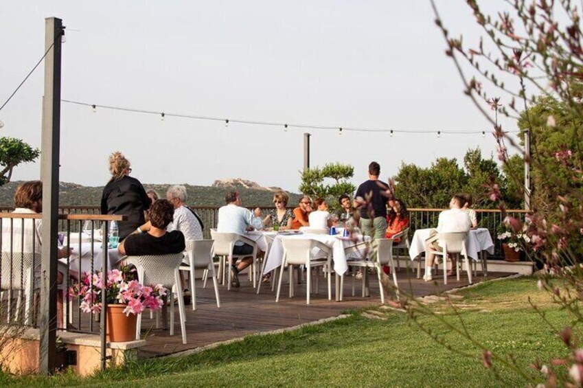 Palau Wine Tasting in a Gallura Winery