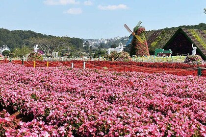 Dalat Top Tourist Sights - Waterfalls