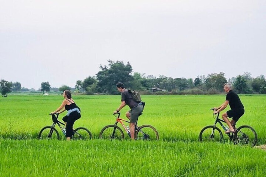 Sukhothai Countryside Day Tour