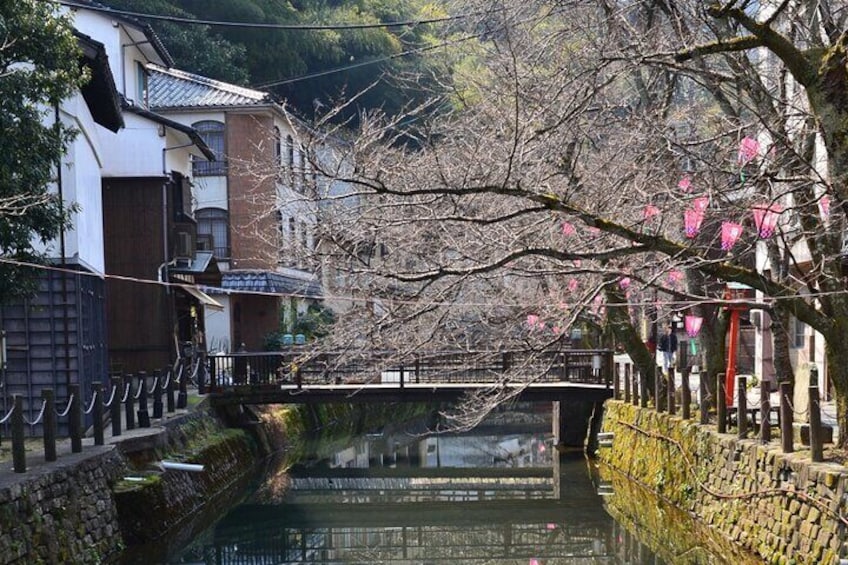 Kyoto Tour Local and Major Highlights