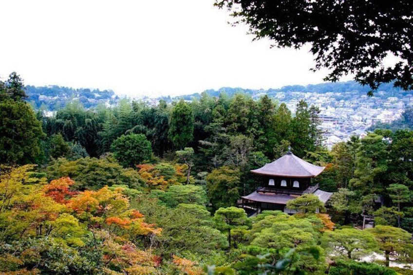 Kyoto Tour Local and Major Highlights