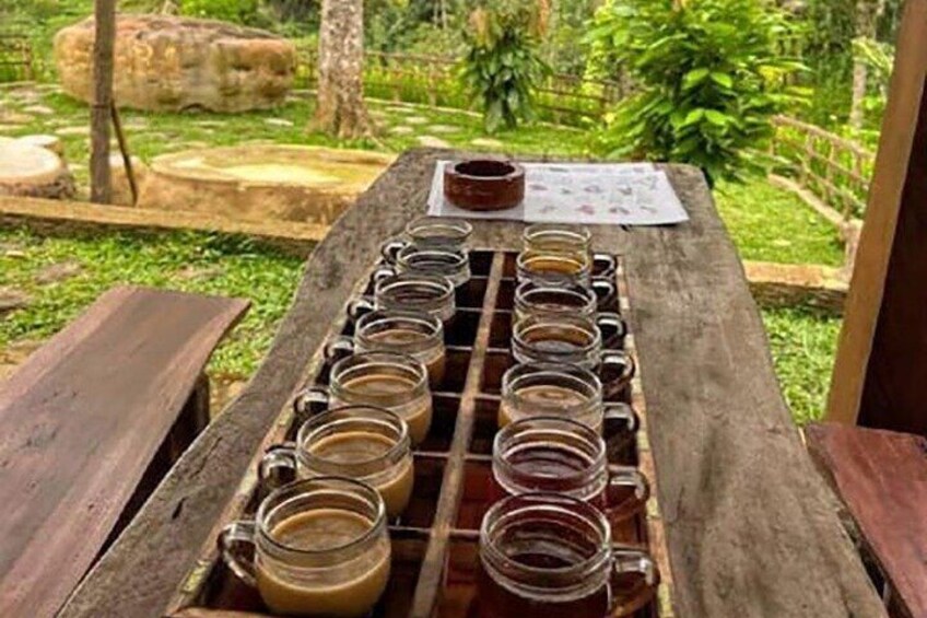 Blue Lagoon Snorkeling and Lunch with Visit Waterfall in Ubud