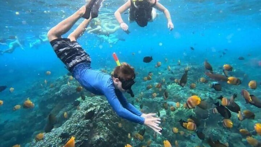 Blue Lagoon Snorkeling and Lunch with Visit Waterfall in Ubud