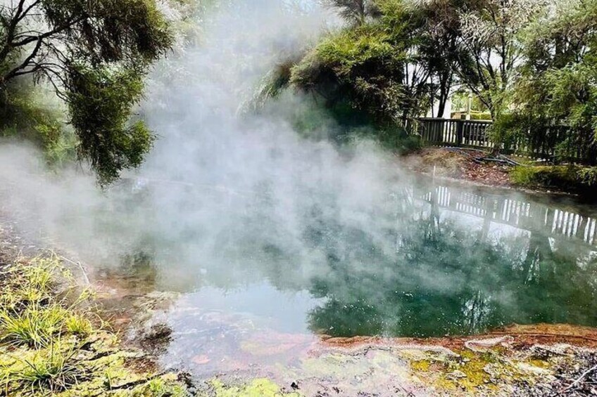 Rotorua Highlights Tour