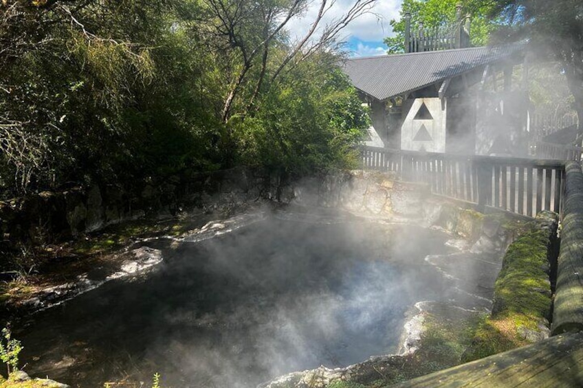 Rotorua Highlights Tour