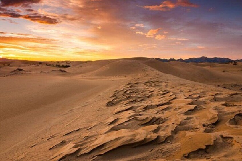 Private Sunset Trip in Wahiba Sands Desert