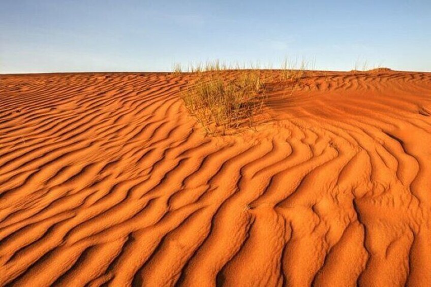 Private Sunset Trip in Wahiba Sands Desert