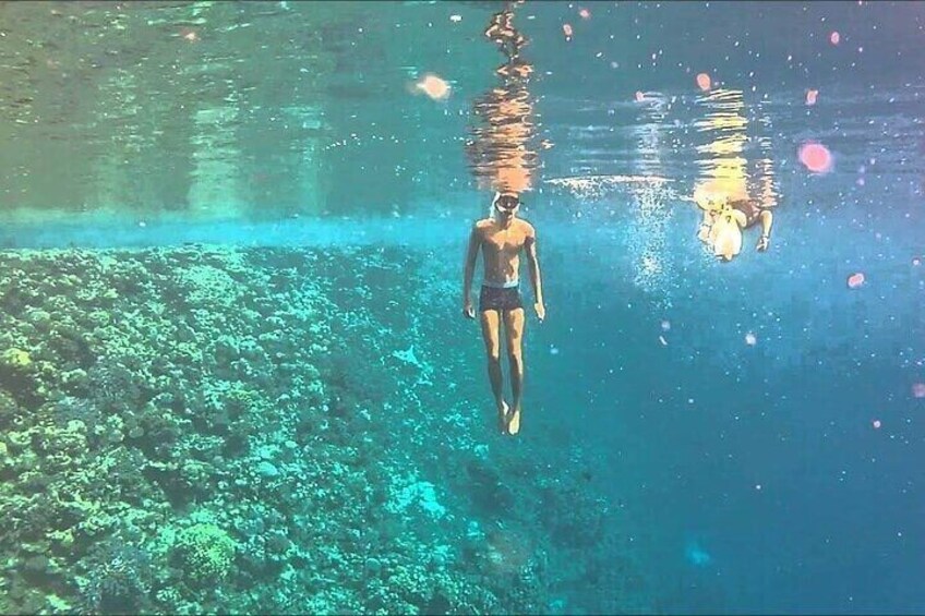 Sharm El Luli Beach Day Tour from Marsa Alam