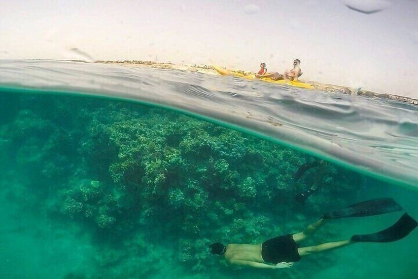 Sharm El Luli Beach Day Tour from Marsa Alam