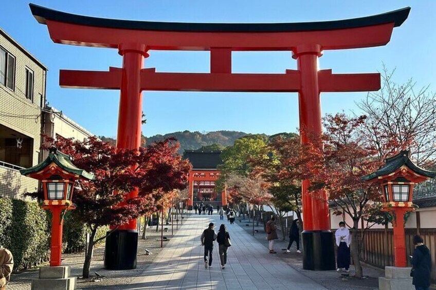 Full Kyoto Magical Experience 1 Day Tour