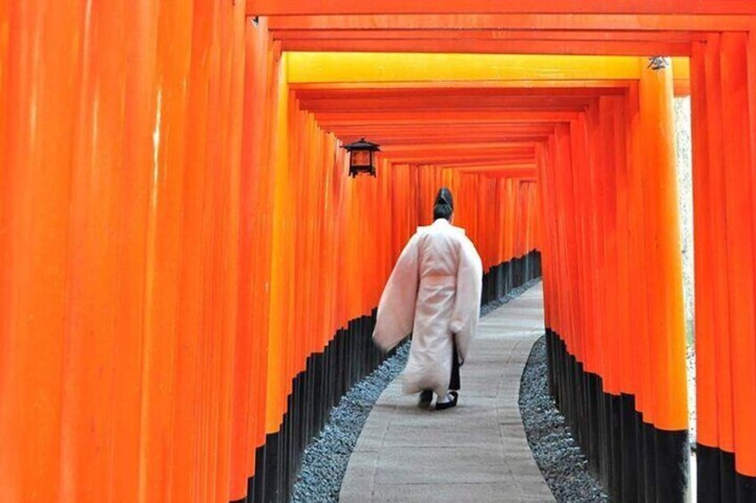 Full Kyoto Magical Experience 1 Day Tour