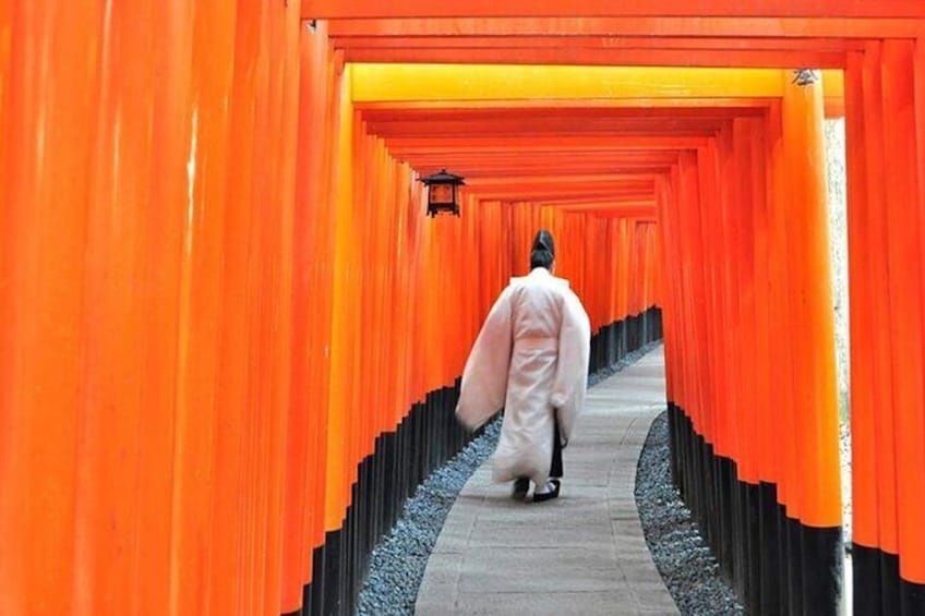 Full Kyoto Magical Experience 1 Day Tour