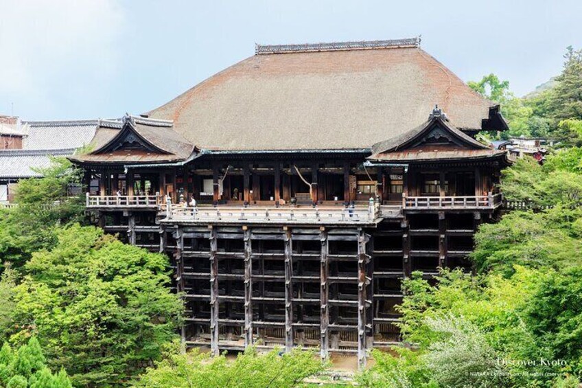 Full Kyoto Magical Experience 1 Day Tour