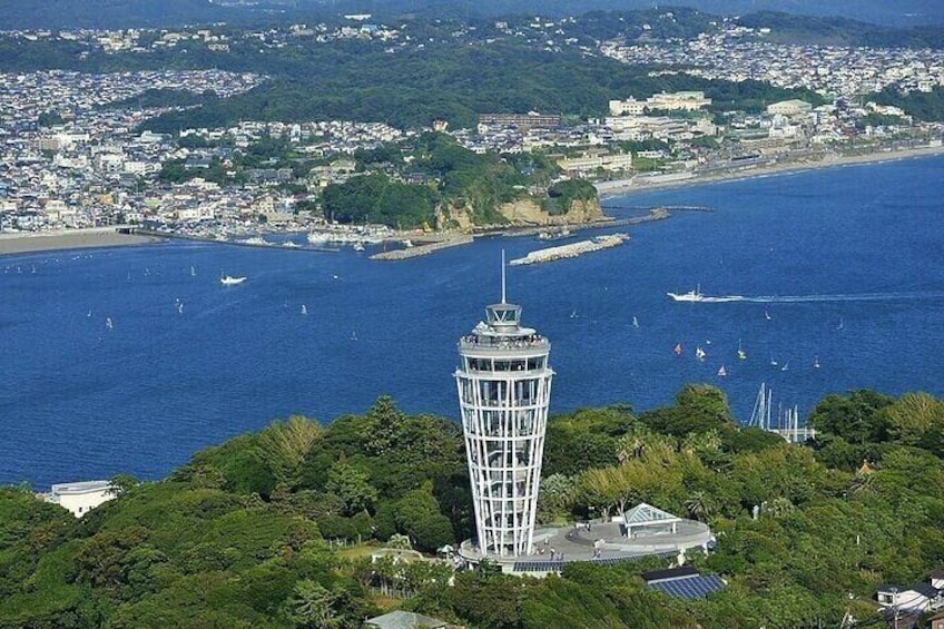 Kamakura Kotoku-in Temple & Enoshima One Day Tour