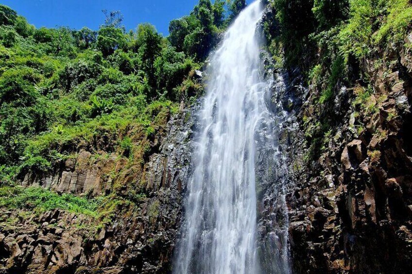 Waterfall, coffee tour & hot springs - lunch and drinks included 